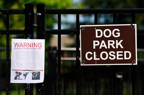 Wheeler Memorial Dog Park photo 1